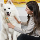 Escova Mágica a Vapor 3 em 1 Para Pet