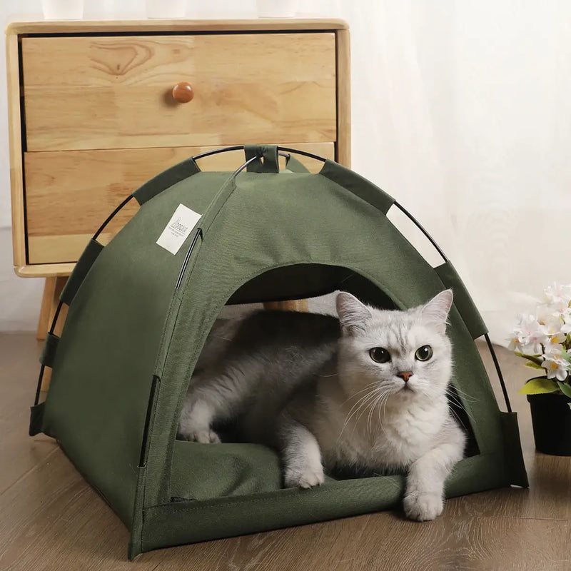 Tenda Para Gatos e Cães de Pequeno Porte
