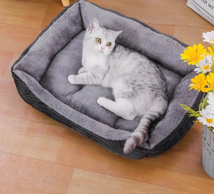 Cama Para Cão Gato Quadrada Acochoada
