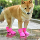 Botas de Borracha Para Cachorro Elegante